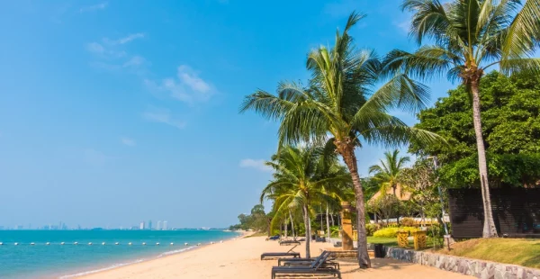 beautiful-beach-sea-with-palm-tree